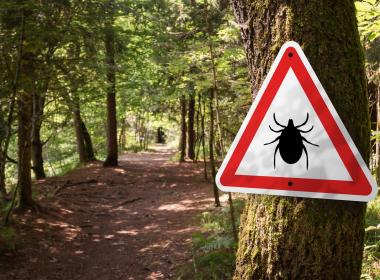 Hiking trail with tick warning sign