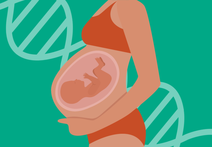 fetal care illustration 2